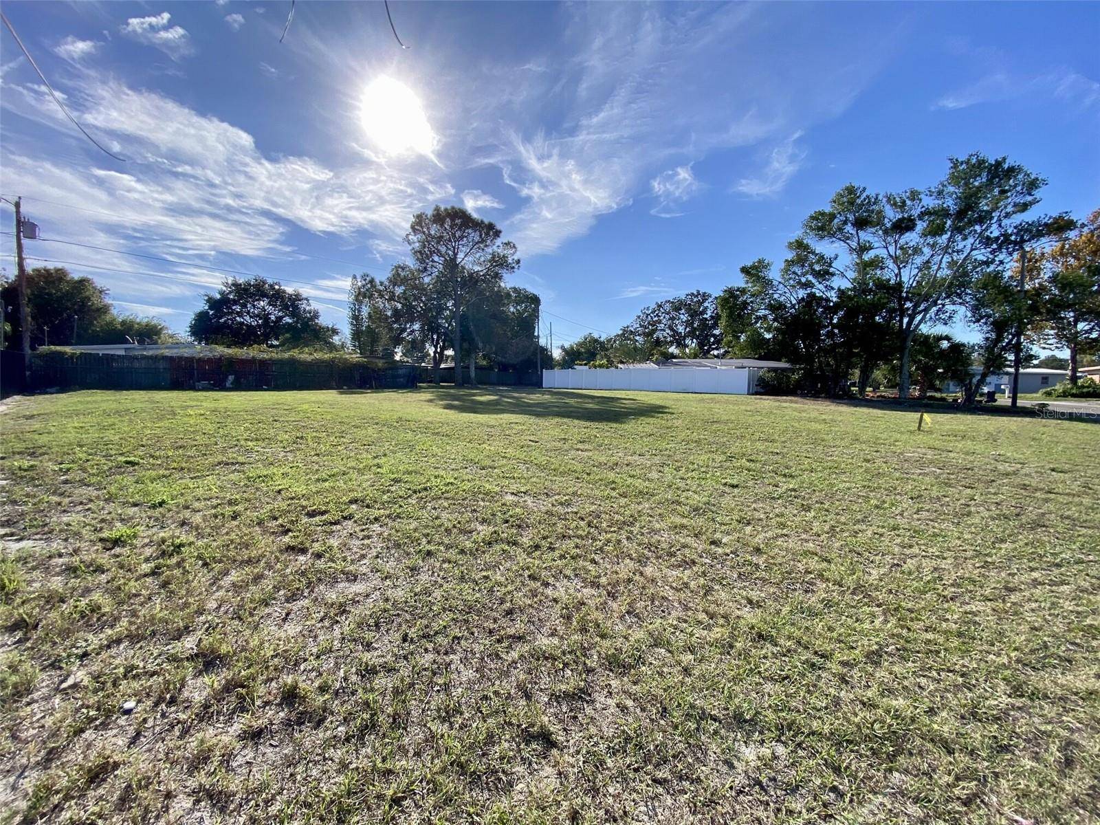 New Port Richey, FL 34655,CAMELIA