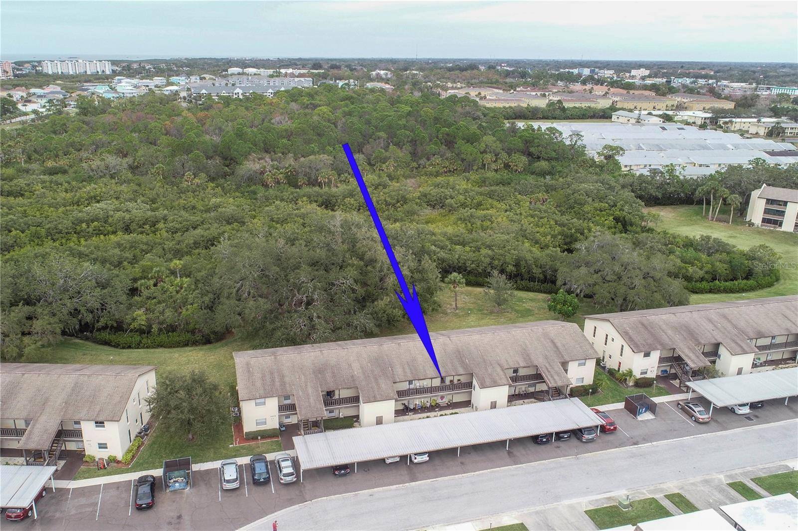 New Port Richey, FL 34652,4829 ONYX LN #204