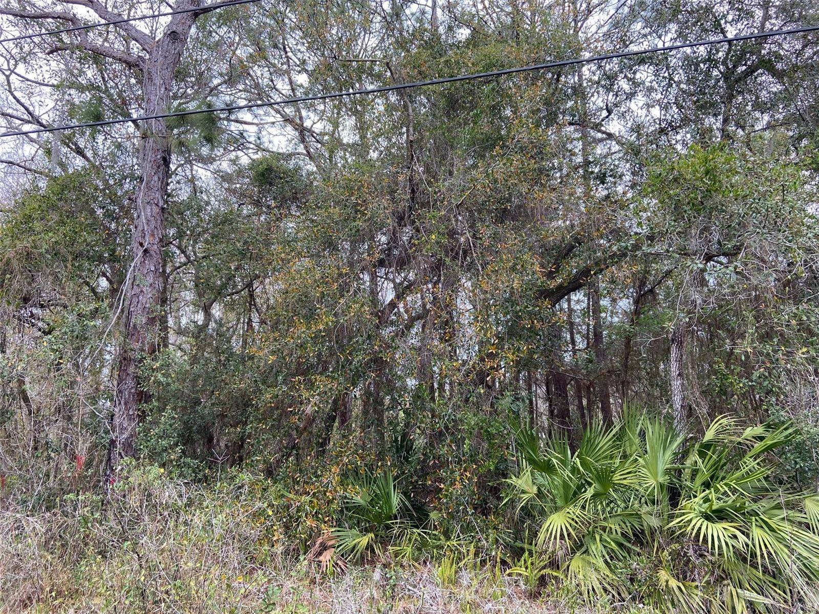 New Port Richey, FL 34654,0 PURDUE ST