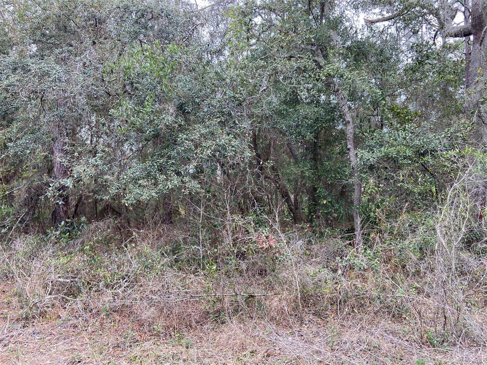New Port Richey, FL 34654,0 PURDUE ST