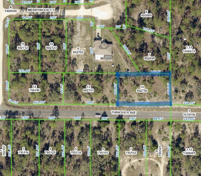 Weeki Wachee, FL 34614,0 THRASHER AVE