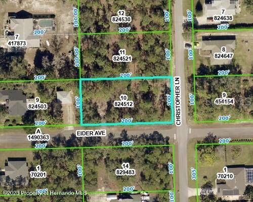 Weeki Wachee, FL 34613,0 CHRISTOPHER LN