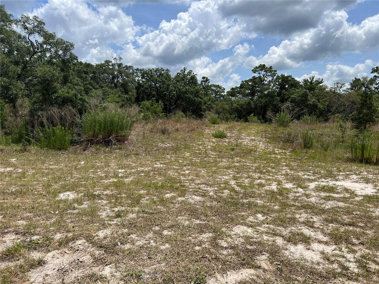 Hudson, FL 34667,17942 OGGIE LN