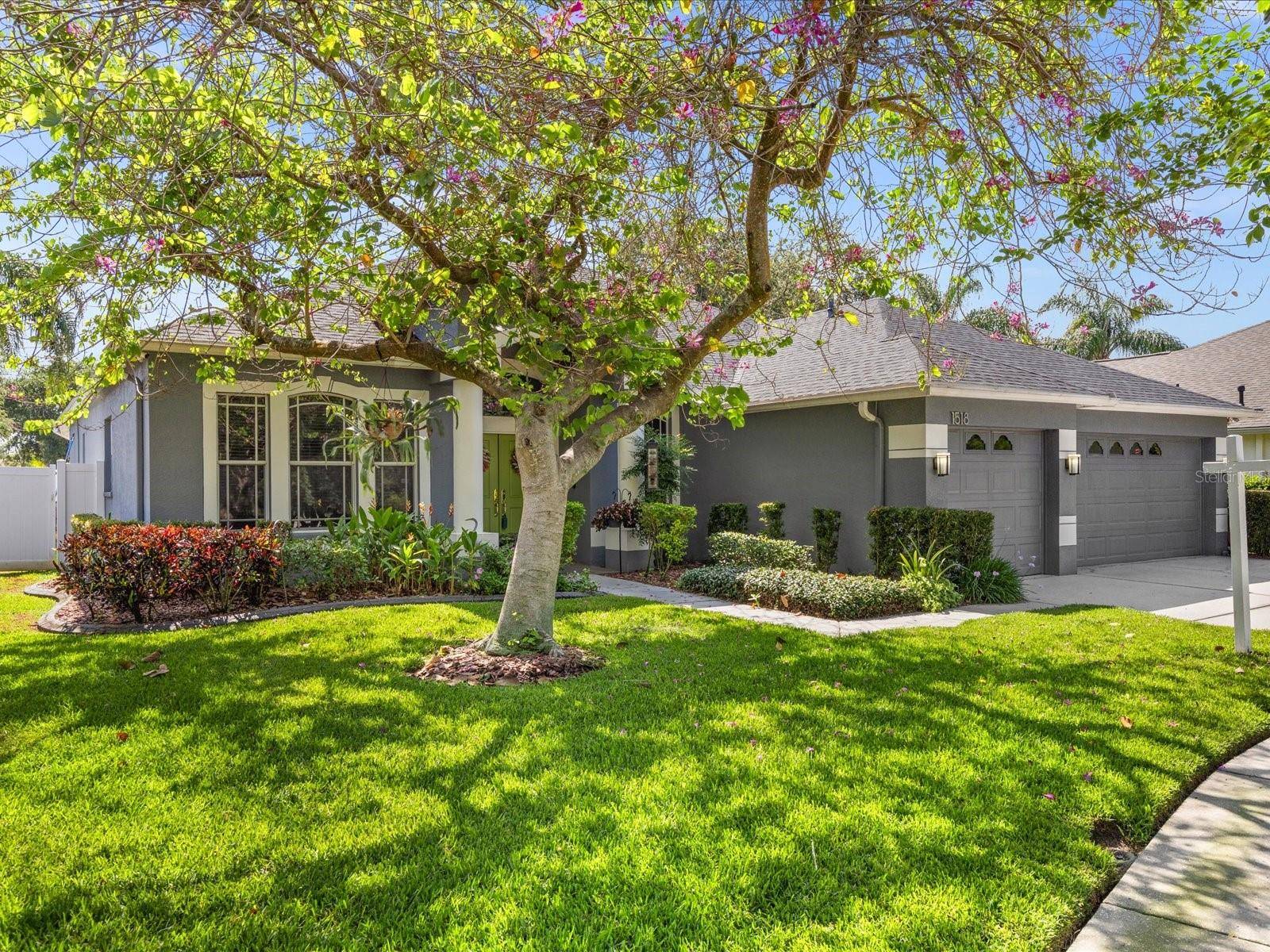 Trinity, FL 34655,1518 STIPULE CT