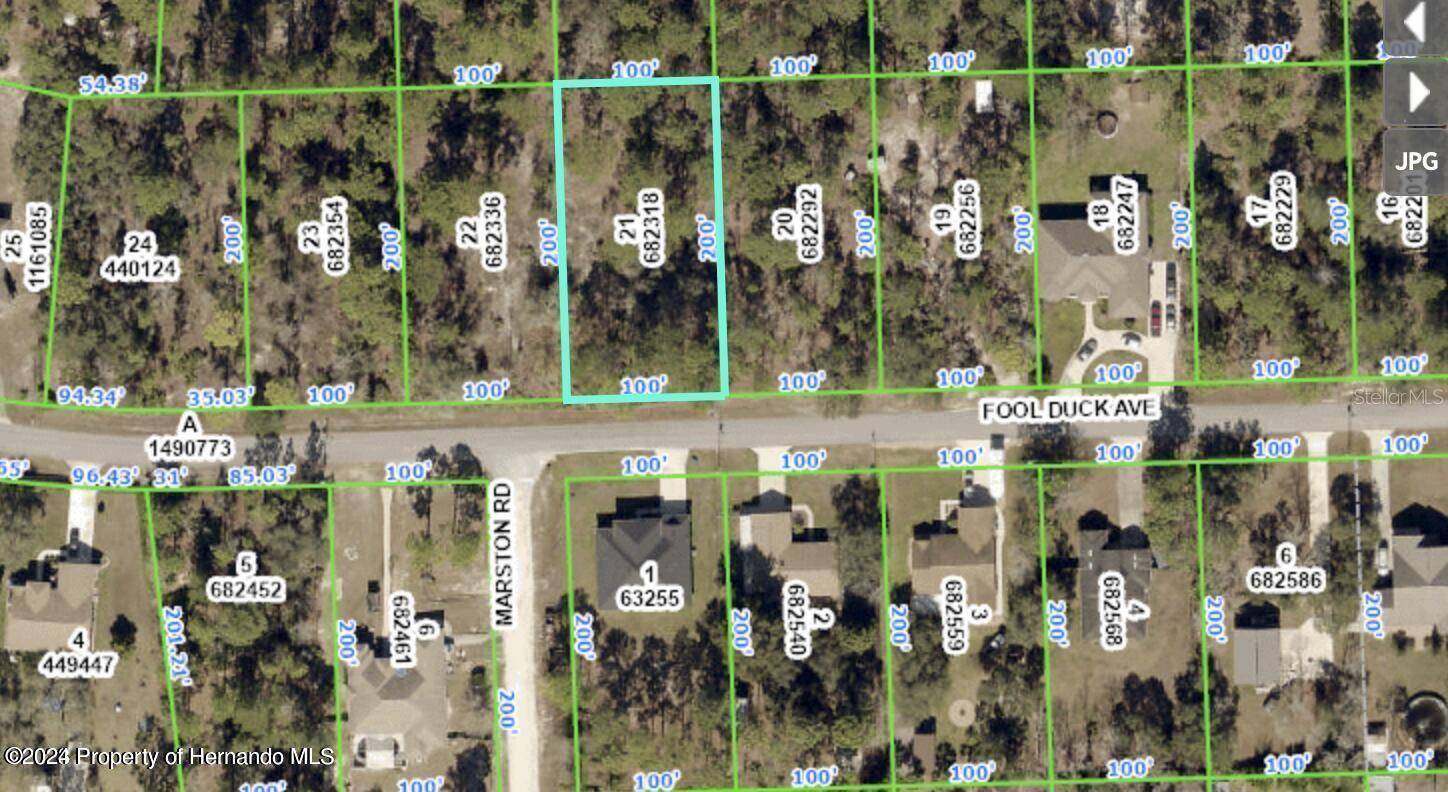 Weeki Wachee, FL 34613,11277 FOOL DUCK AVE