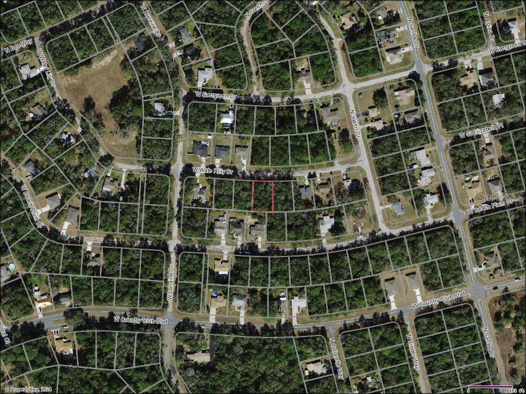 Citrus Springs, FL 34434,1836 W WATER LILY DR