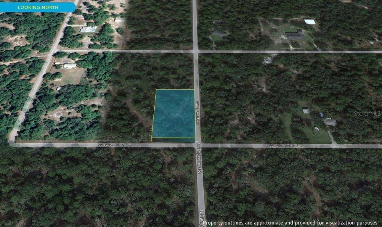 Crystal River, FL 34428,12075 W OLIVE TREE LN