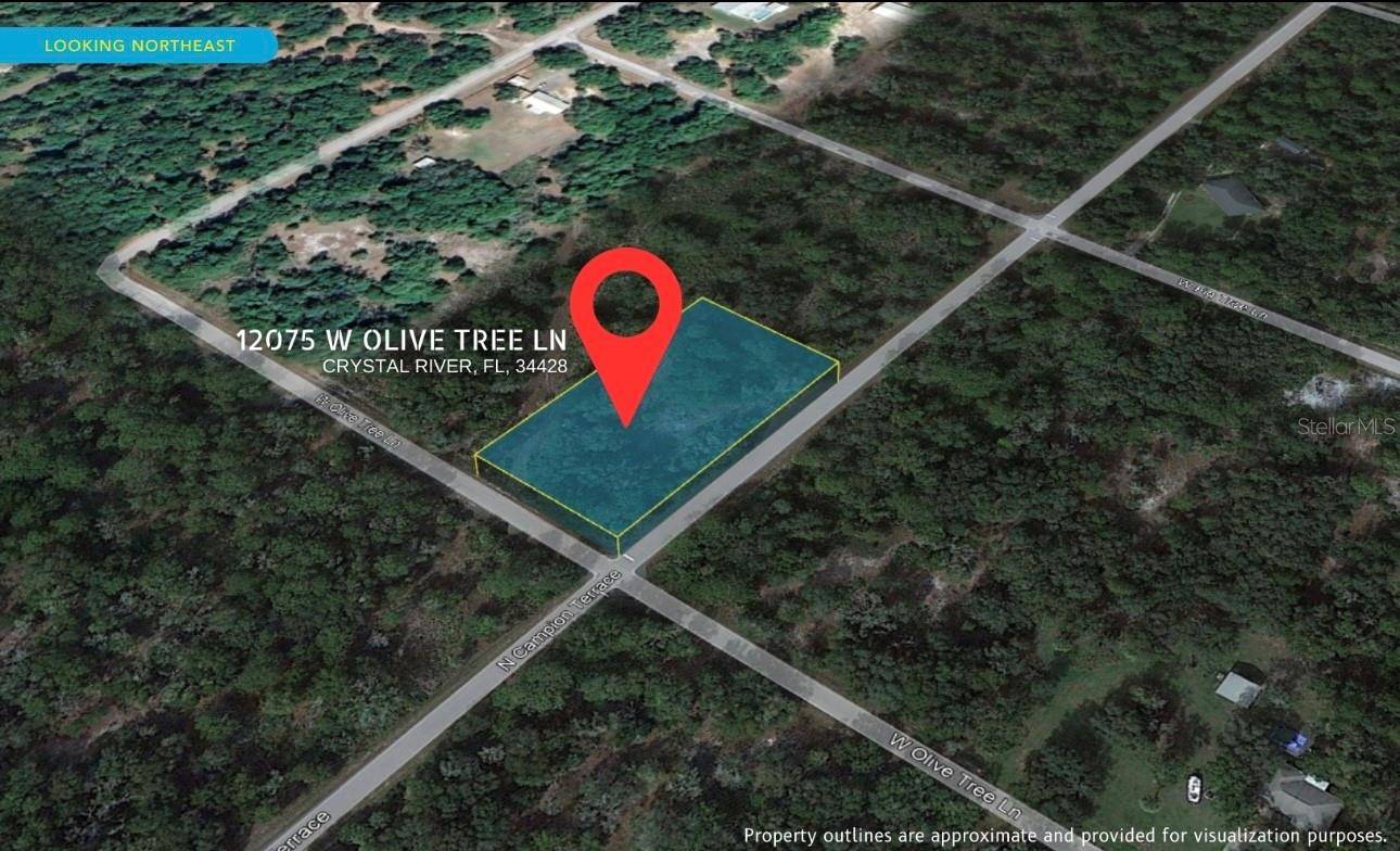 Crystal River, FL 34428,12075 W OLIVE TREE LN