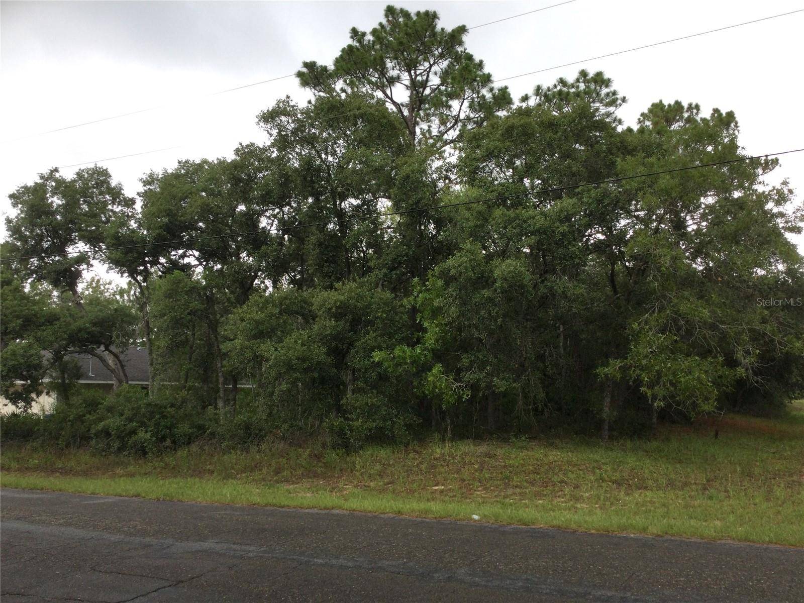 Dunnellon, FL 34433,7265 N WESTBROOK WAY
