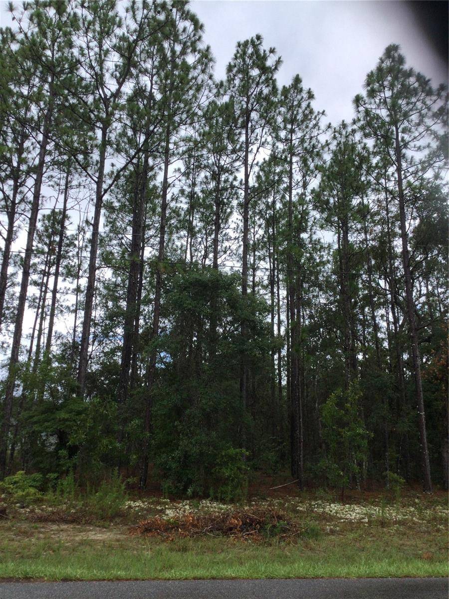 Dunnellon, FL 34434,1420 W JAPONICA PL