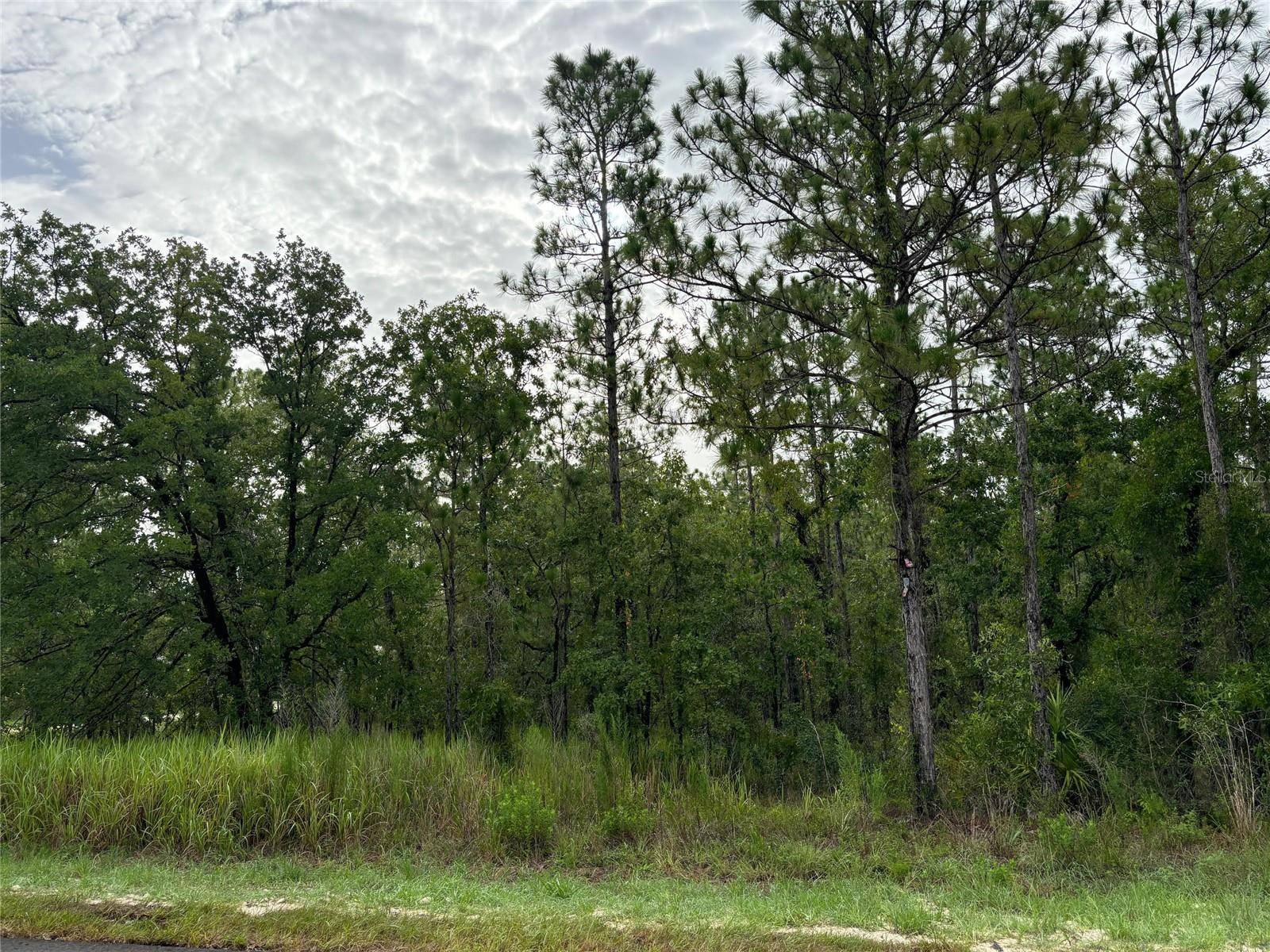 Weeki Wachee, FL 34614,Lot 1 PENN STATE RD