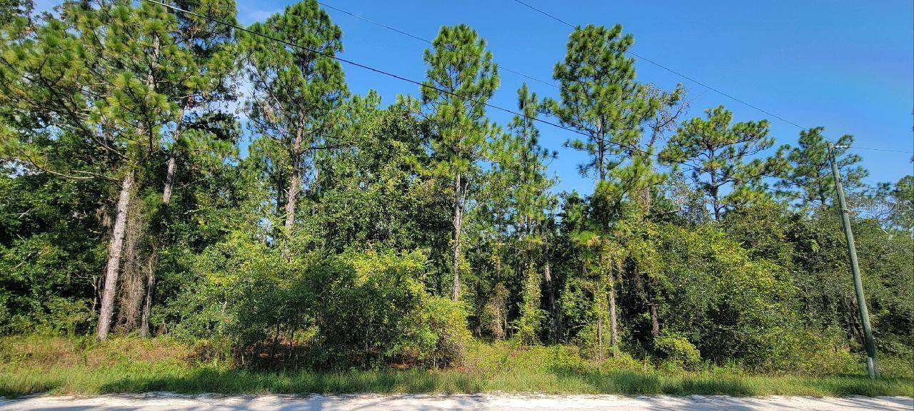 Brooksville, FL 34614,15375 COOT RD