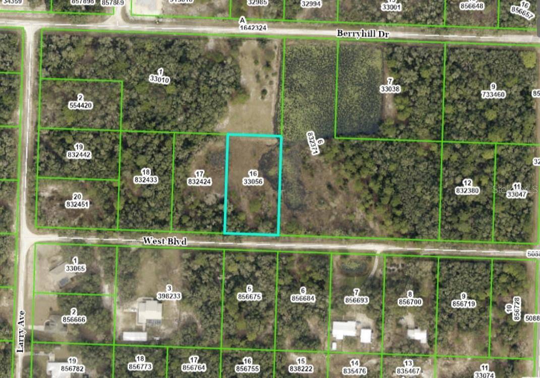 Webster, FL 33597,33461 WEST BLVD
