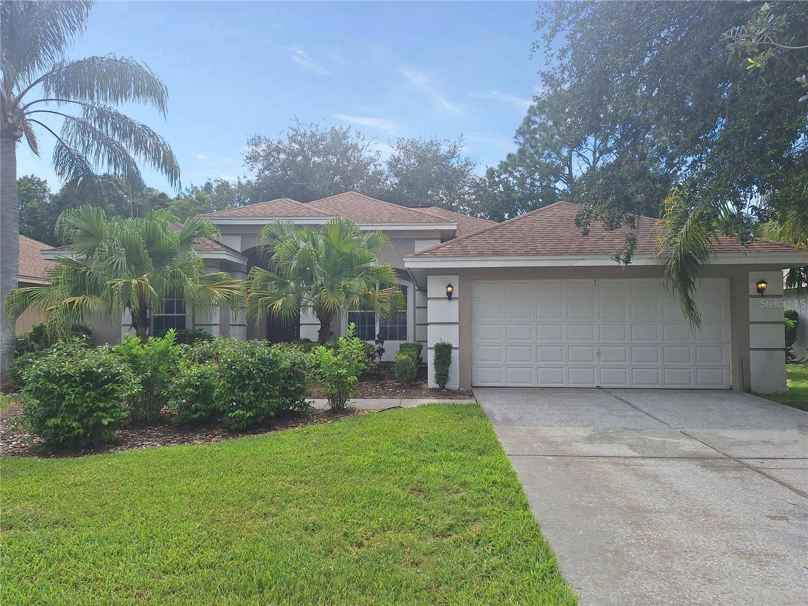 Tarpon Springs, FL 34688,462 EQUINE DR