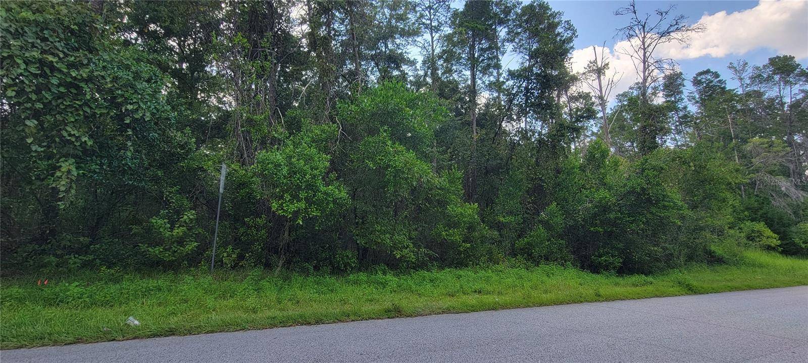 Brooksville, FL 34604,5455 DREW ST