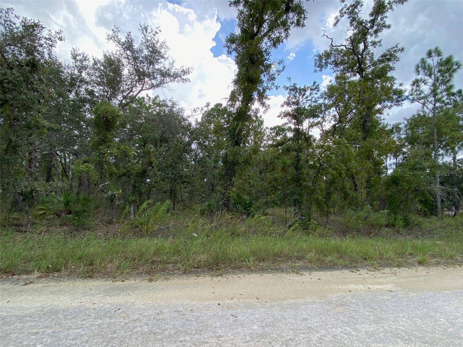 Weeki Wachee, FL 34614,13012 ROCK DUCK AVE