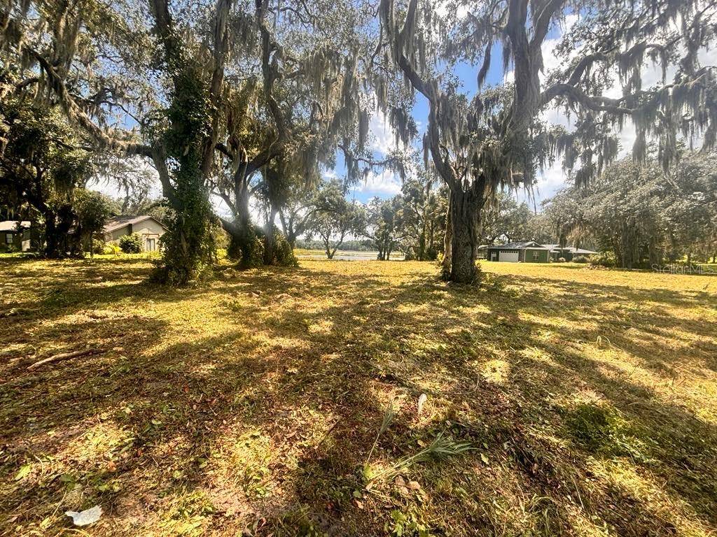 Weirsdale, FL 32195,SE HWY 42