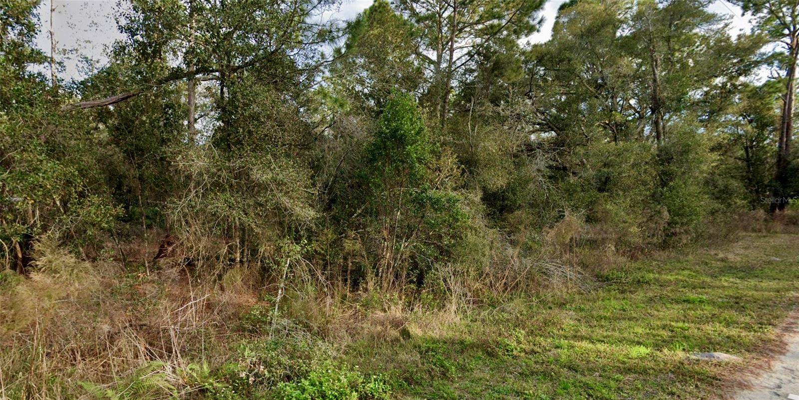 Webster, FL 33597,0 LOT 6 DECKER ST