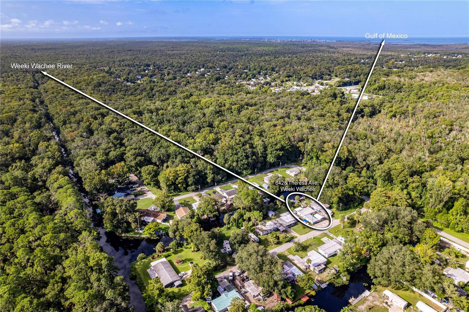 Weeki Wachee, FL 34607,6428 THERESA AVE