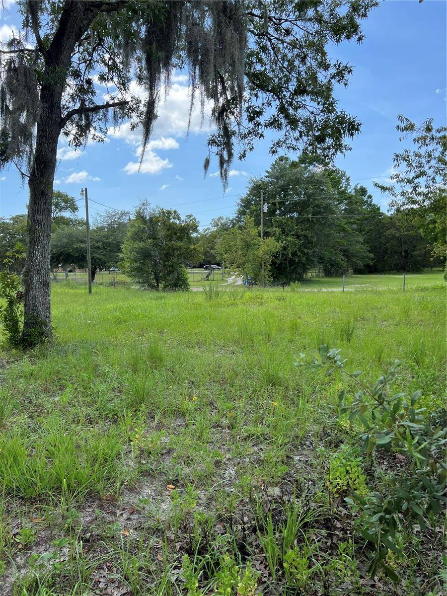 Hudson, FL 34669,14842 SHEILA ANN DR