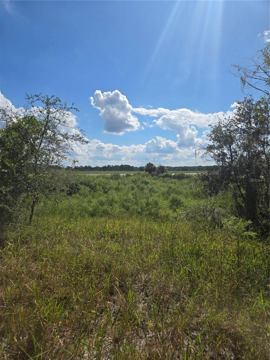 Dunnellon, FL 34431,TBD SW SHOREWOOD DR N