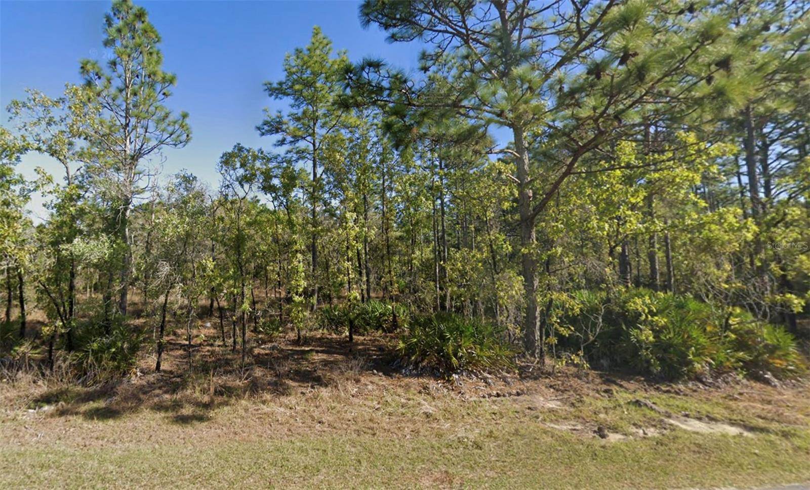 Weeki Wachee, FL 34614,11095 WOOD OWL AVE