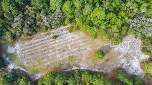 Spring Hill, FL 34607,0 ALGOOD RD