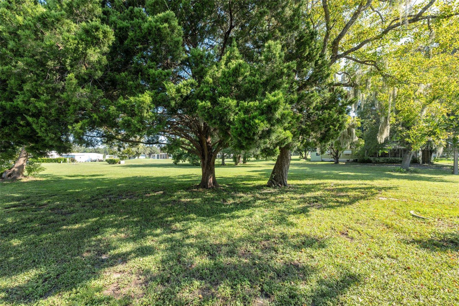 Brooksville, FL 34613,LOT 1 FORMOSA ST