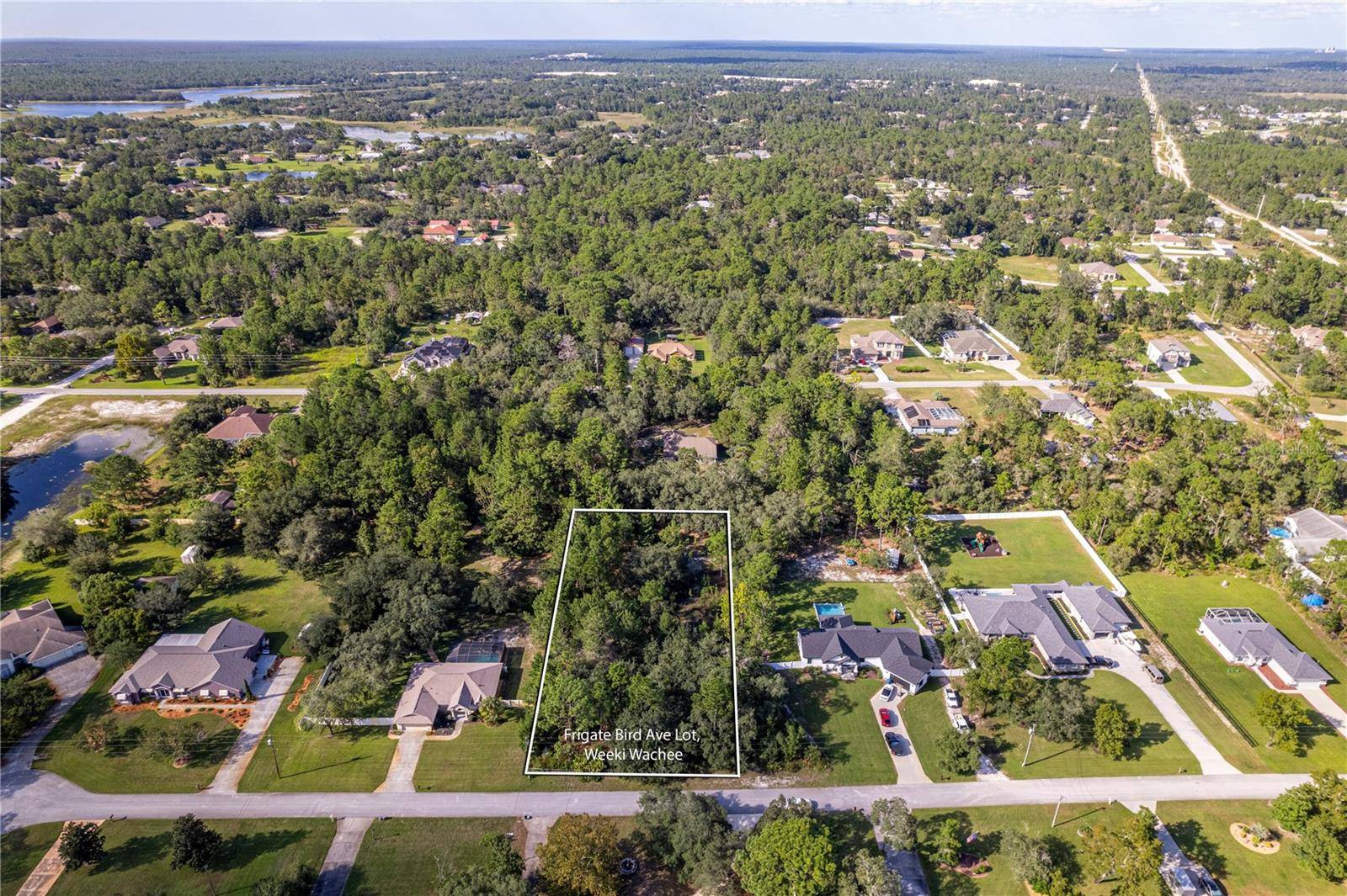 Weeki Wachee, FL 34613,0 FRIGATE BIRD AVE