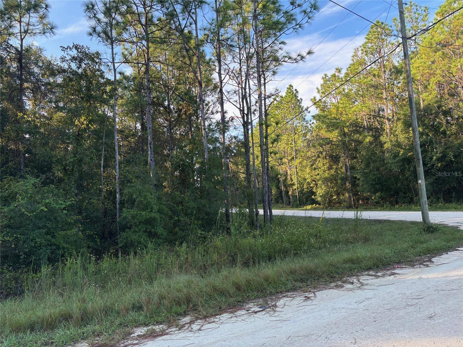 Brooksville, FL 34614,Lot 11 CANVASBACK RD