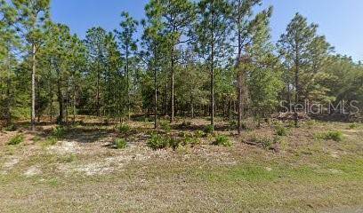 Crystal River, FL 34428,10157 W DONEGAL LN