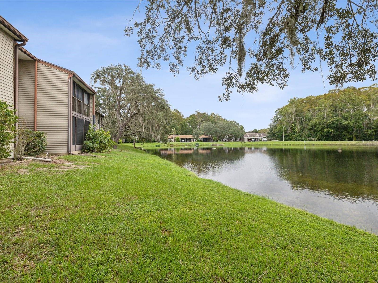 New Port Richey, FL 34654,12025 PROCTOR LOOP #3