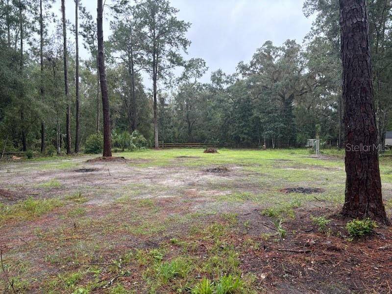 Micanopy, FL 32667,113 SW 1ST AVE