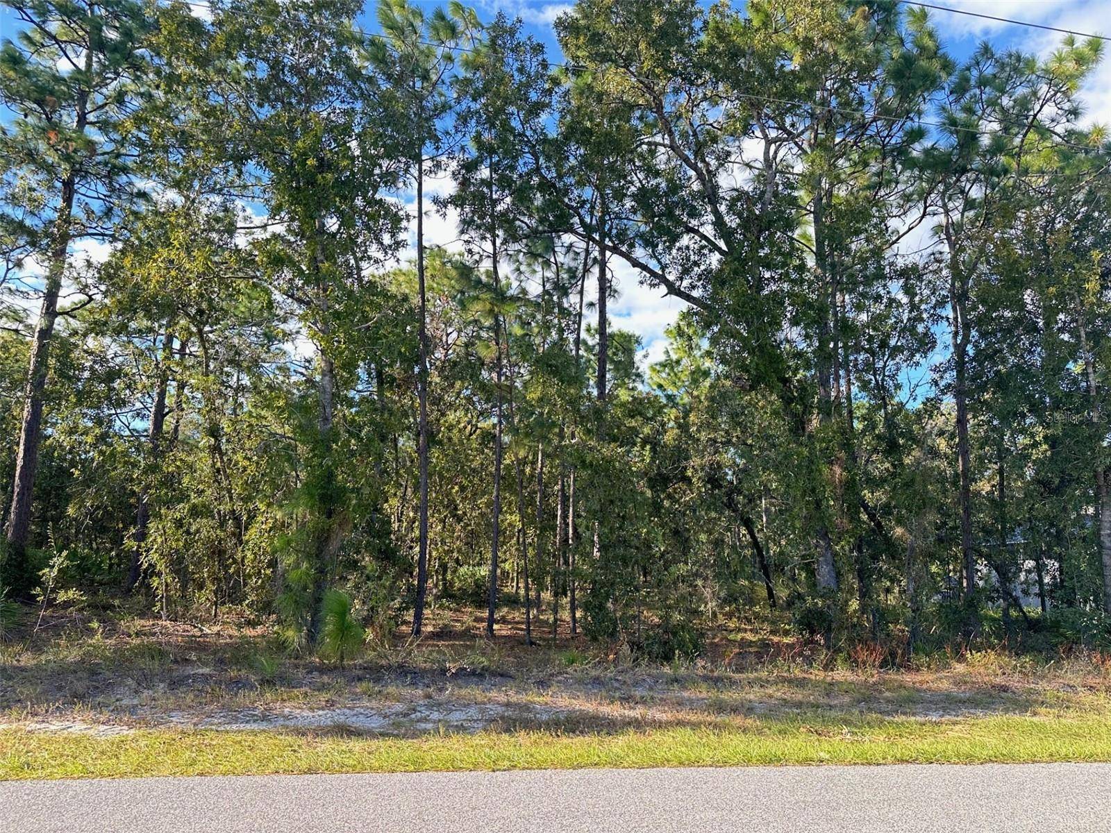 Homosassa, FL 34446,62 DAISY ST