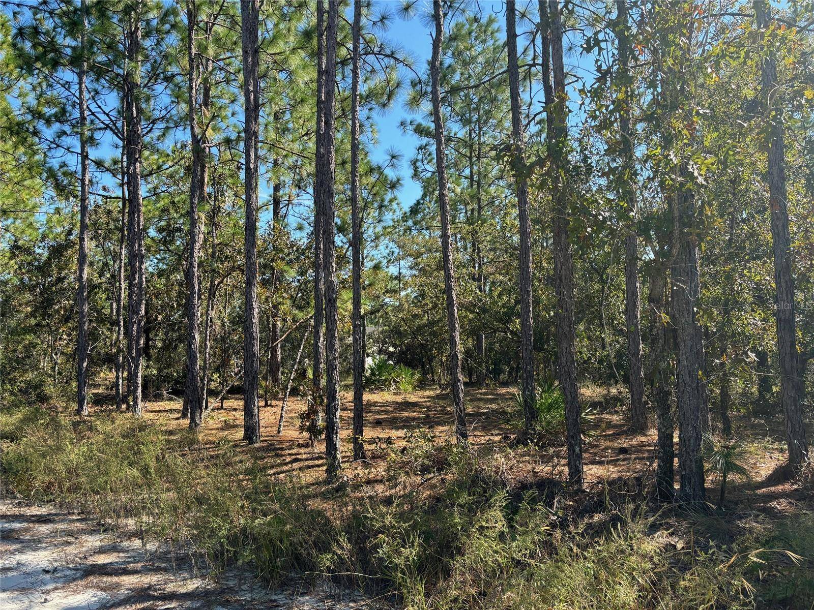 Brooksville, FL 34614,Lot 21 THAMES AVE