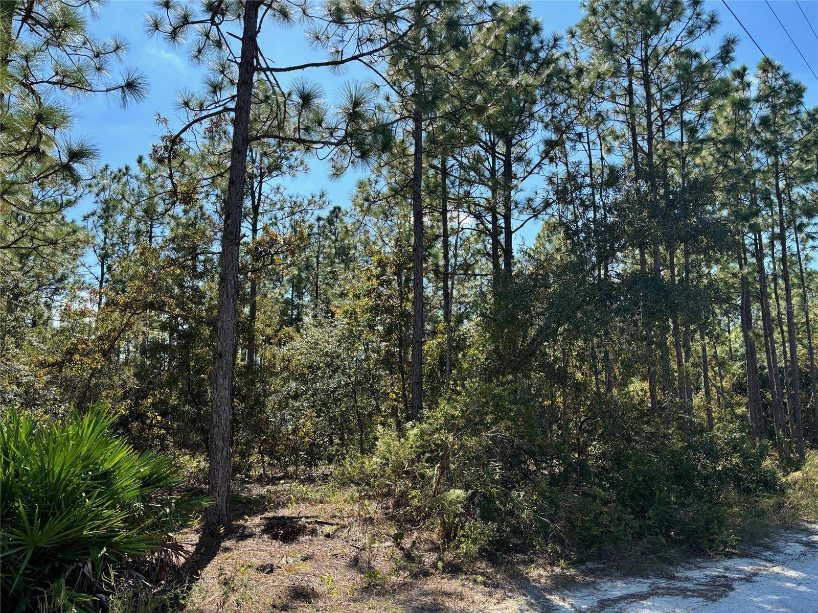 Brooksville, FL 34614,Lot 21 THAMES AVE