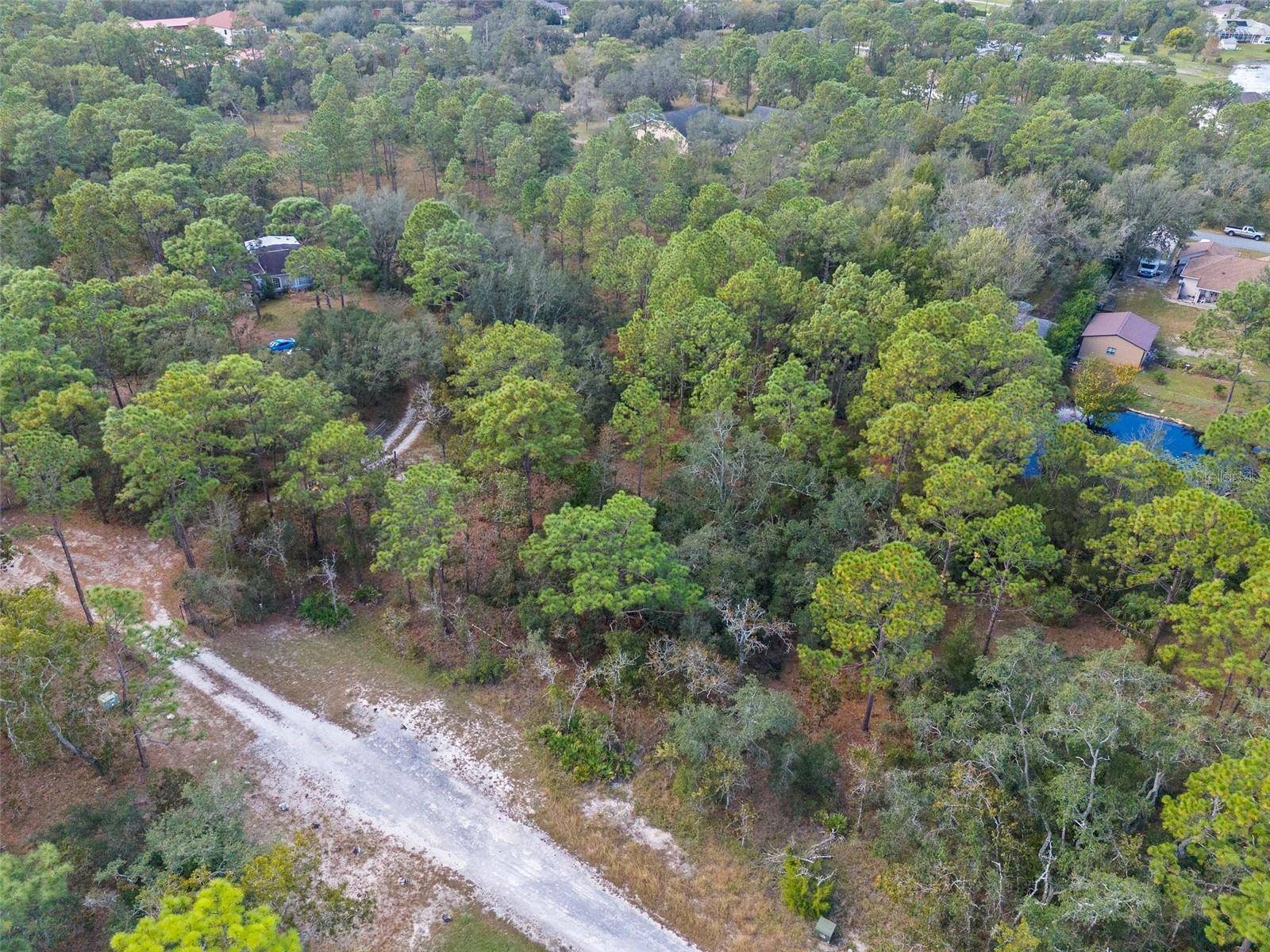 Weeki Wachee, FL 34613,9155 BUNTING RD