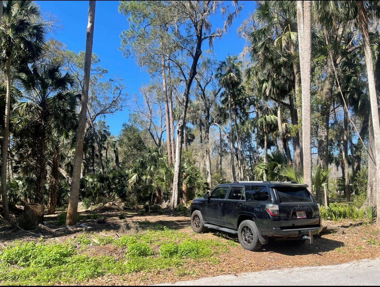 Tavares, FL 32778,TAMMI DR