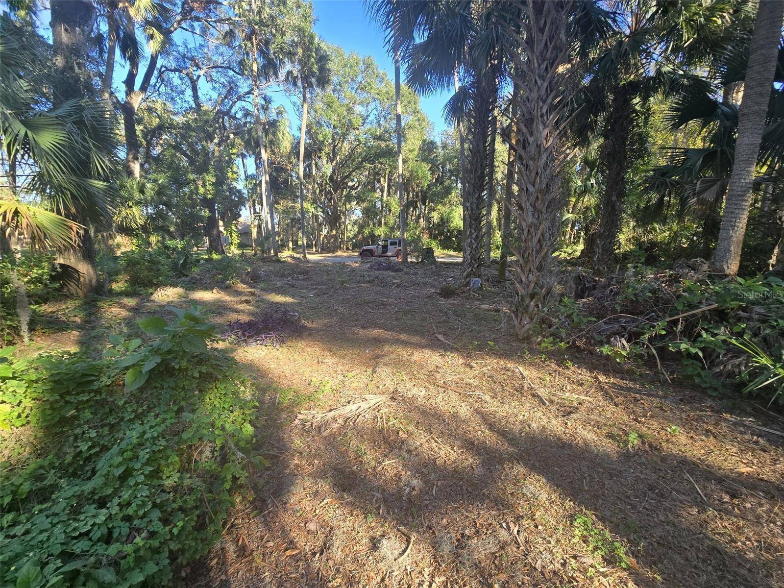 Tavares, FL 32778,TAMMI DR