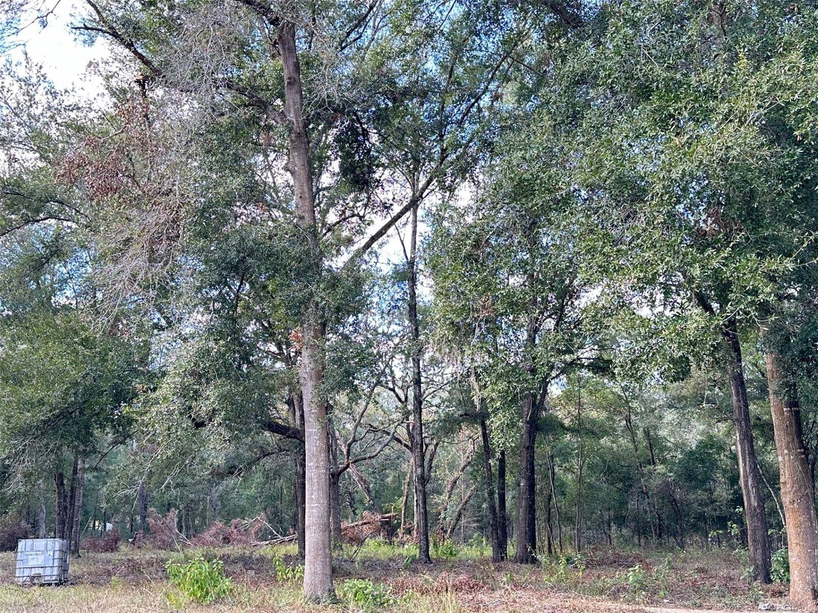 Brooksville, FL 34602,27431 WHITE DOVE DR