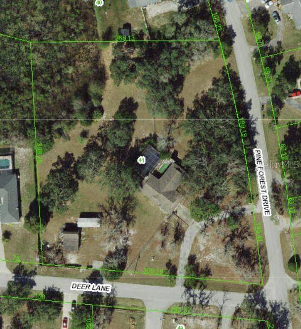 New Port Richey, FL 34654,11341 PINE FOREST DR