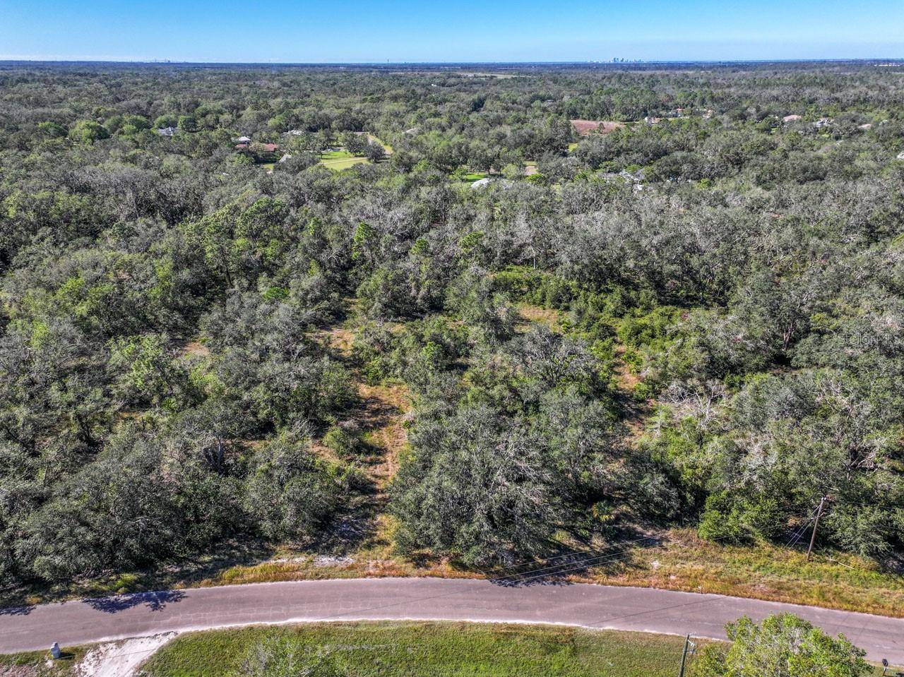 Wimauma, FL 33598,PONDEROSA TRL #Parcel B