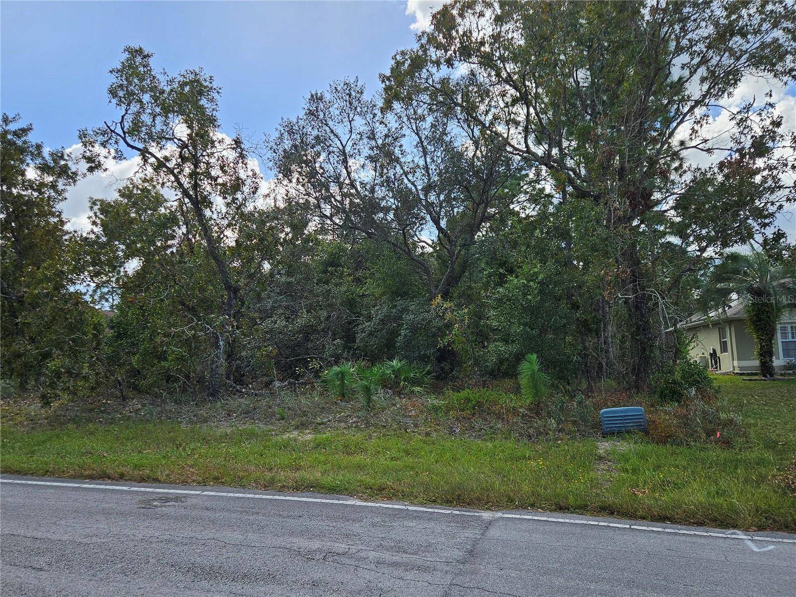 Homosassa, FL 34446,89 CYPRESS BLVD E