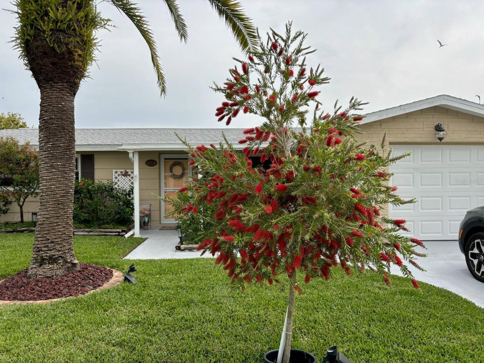 Holiday, FL 34690,1354 LINSTOCK DR