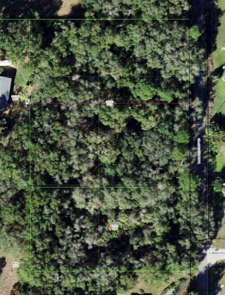 Inverness, FL 34453,2732 N JUNGLECAMP RD