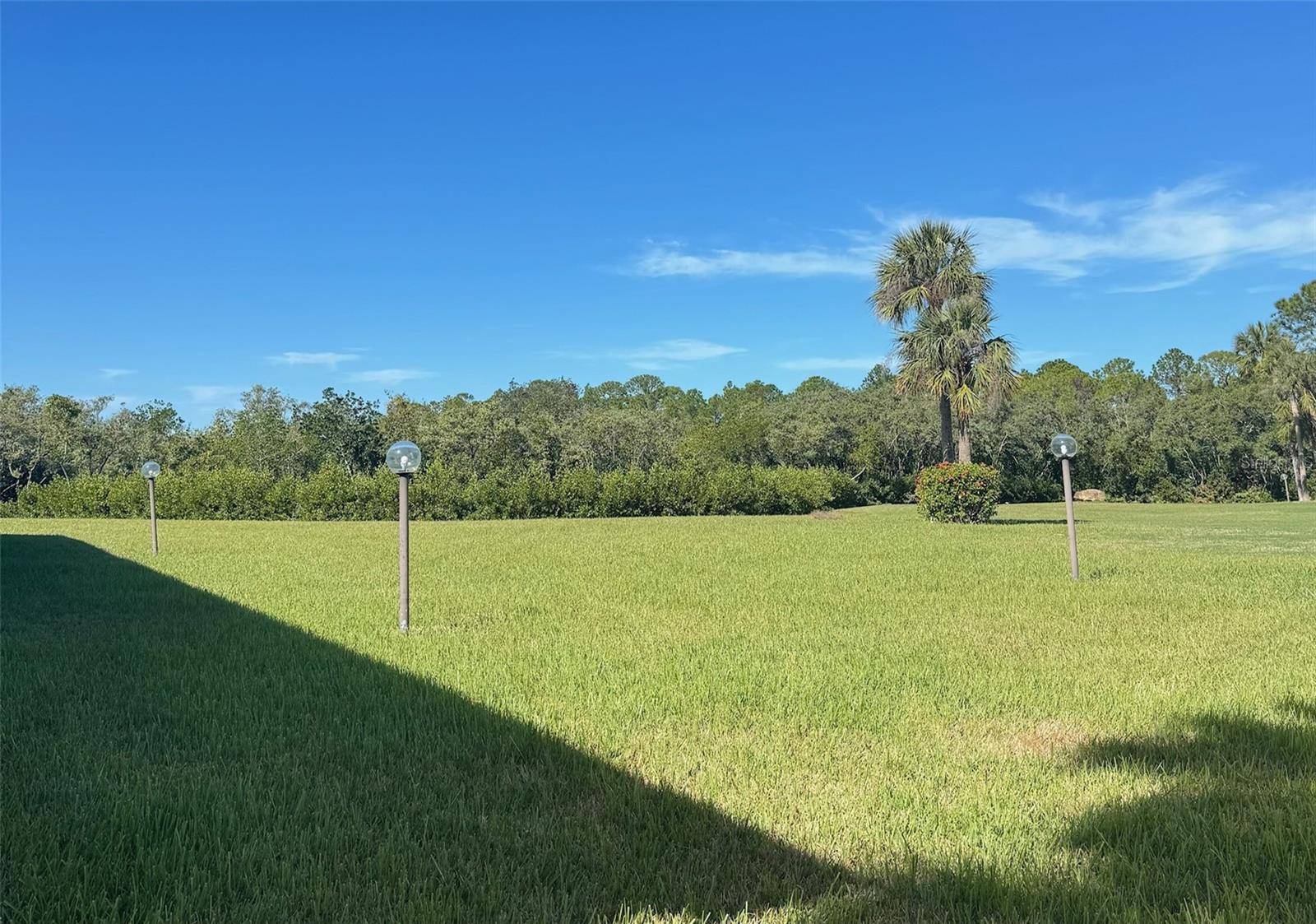 New Port Richey, FL 34652,4901 ONYX LN #202