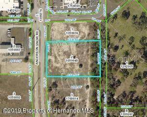 Spring Hill, FL 34609,00 ANDERSON SNOW RD
