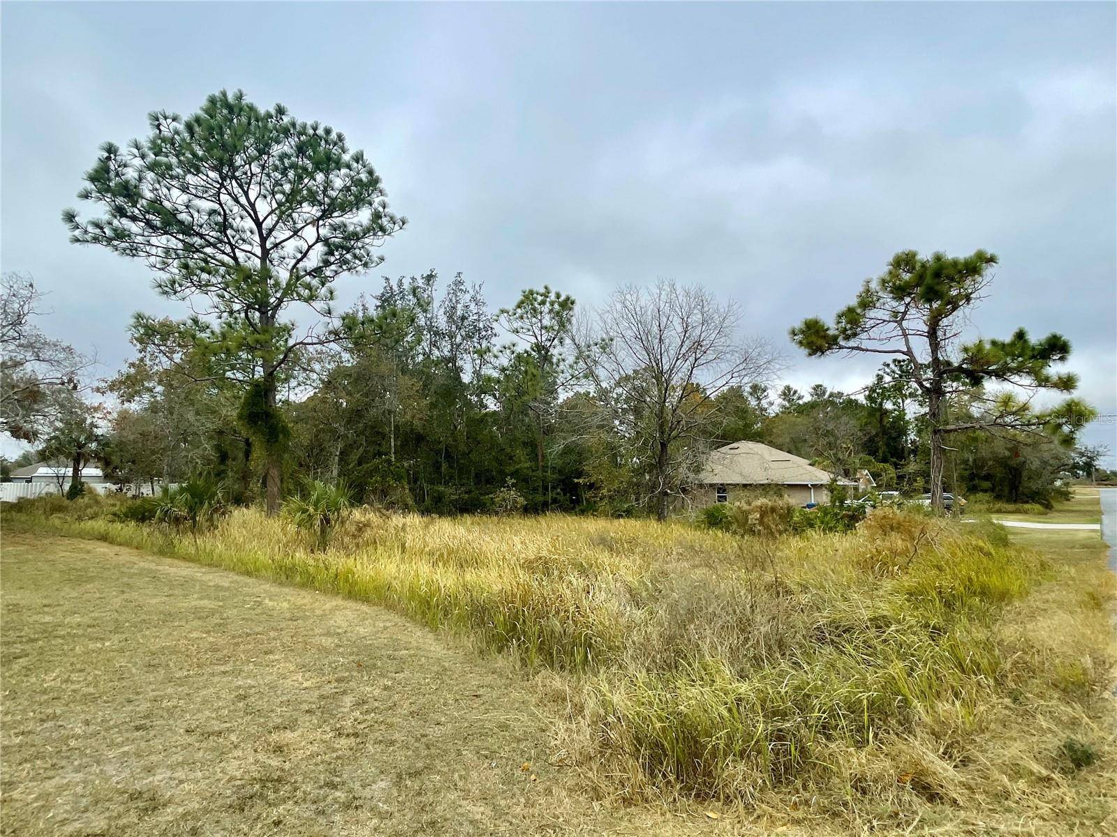 Brooksville, FL 34613,0 GOLDEN WARBLER RD