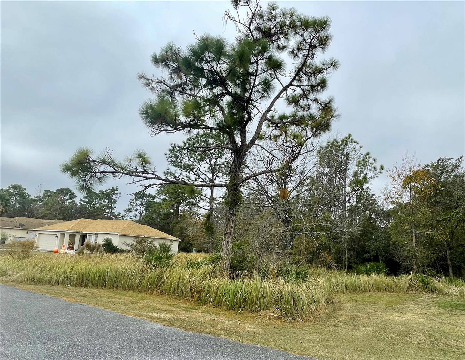 Brooksville, FL 34613,0 GOLDEN WARBLER RD