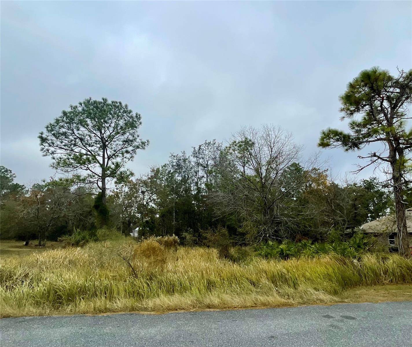 Brooksville, FL 34613,0 GOLDEN WARBLER RD